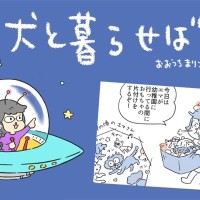 犬と暮らせば【第455話】「犬飼いの片付け」