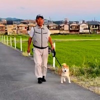 『思ってたのと違う…』犬の散歩中に他人のフリをしたら…ドッキリの検証結果が衝撃的すぎると1000万再生「天然すぎて草」「お腹痛いｗ」