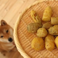 愛犬と一緒に楽しめる『秋の味覚』4つ　犬にいい影響を与える栄養素や調理方法、注意点まで解説