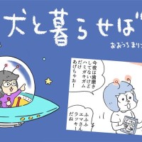 犬と暮らせば【第456話】「無いウラを読んでしまう犬」