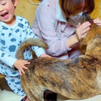 犬と子供が『入院していたお母さん』と36日ぶりに会った結果…感動的な『家族の再会』が尊すぎると6万再生「皆幸せそう」「うるっときた」