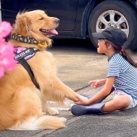 男の子と大型犬をこっそり撮影した結果…まるで『心が通じ合ってる』ような光景が尊すぎると12万再生「ホントに友達みたい」「素敵な関係」