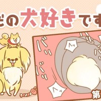 ただの犬好きです。【第279話】「完璧！」