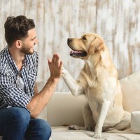 愛犬が幸せだと感じる瞬間5つ　日々の生活の中で飼い主がしてあげられることとは