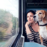 愛犬と電車やタクシーで移動する際に絶対にやってはいけないNG行動３つ　知っておくべきマナーや知識までご紹介