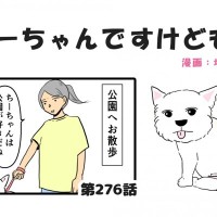 ちーちゃんですけどもっ【第276話】「ちーちゃんの生きる意味」