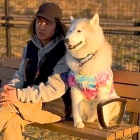 『ドッグランで遊ぶ犬を見て楽しむ犬…？』まさかの過ごし方がおっさん過ぎると111万再生「人間みたい」「落ち着き具合が可愛すぎるｗ」と爆笑