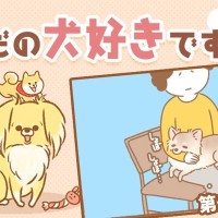 ただの犬好きです。【第280話】「やっぱり」