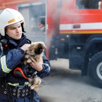 犬が原因で火事が起きる5つの原因とは　飼い主が注意すべきポイントをご紹介