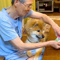 おじいちゃんが『犬におやつをあげようとした』結果…まさかの『お行儀が悪すぎる姿』が話題に「うっかりすぎるｗ」「仲良しコンビ」と絶賛