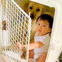 大型犬と赤ちゃんが『こっそり』やっていたこと…まさかの光景が可愛すぎると46万再生「相思相愛なふたり」「犬って本当に優しいな」と大絶賛