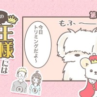 うちの王様にはどうしても抗えない【第274話】「別犬すぎて」