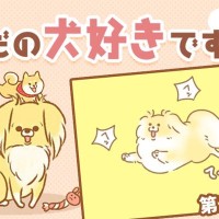 ただの犬好きです。【第281話】「かまって？」