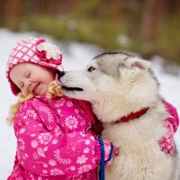 愛犬が他人の顔を舐めてしまう理由とは　すぐに試せる適切な対策法から注意点までご紹介