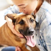 犬の里親になるために欠かせない『2つの心構え』　事前に準備しておくべきポイントから注意点まで解説