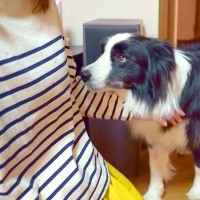 犬が『苦手なおばあちゃん』と6ヶ月ぶりに会った結果…信じられない『まさかの行動』が泣けると注目「感動した」「嬉しくて泣いちゃう」