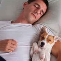 犬と『一緒に眠る』デメリット5選　愛犬や飼い主への悪影響や注意点まで