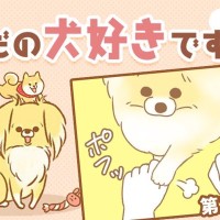 ただの犬好きです。【第282話】「なあぜ？」