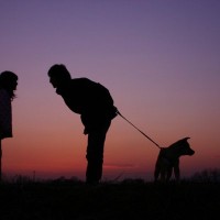 犬の散歩を夜にするときの『絶対NG行為』4つ　飼い主がすべき安全管理とは？