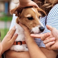 愛犬にベタベタしすぎてはいけない？　考えられる悪影響から適切な距離感まで解説