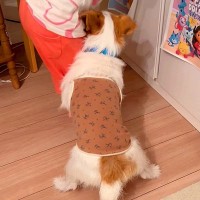 3歳の女の子がママに近づこうとした結果、犬がブチギレ…『絶対に近寄らないで！』まるで人間のような反応に爆笑の声「中に人いますよね？」