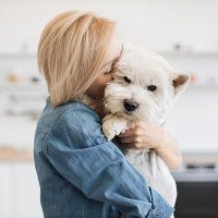 犬が『ウザい』と思う飼い主の行動5選　しつこくしすぎると関係性が悪化するかも…