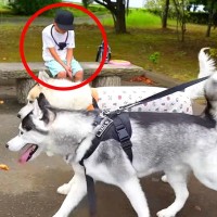 大型犬は『3ヵ月会っていない甥っ子』が散歩中にいたら気付く？ まさかの『検証結果』がジワると56万再生「最強にかわいいｗ」「尊すぎる」