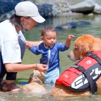 犬と赤ちゃんが『一緒に水遊びをした』結果…一気に打ち解け『意気投合』する光景が15万再生「理想の家族」「永遠に見てられる」と悶絶の声