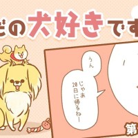 ただの犬好きです。【第283話】「クセになる」