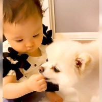 どうしても犬にご飯をあげたい赤ちゃんが…まさかの『丁寧すぎる与え方』とワンコの反応が24万再生「付き合ってあげるの可愛いｗ」「仲良しコンビ」