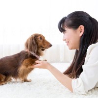 愛犬が前足で『チョンチョン』触ってくる心理5選　どんなときにしてくるの？要求には応えるべき？