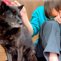 犬におやつをあげたら、なぜか食べない…信じられない『まさかの理由』が泣けるほど優しいと93万再生「なんて素敵な子」「大切に育てられた証」