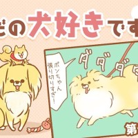 ただの犬好きです。【第284話】「行きはよいよい」