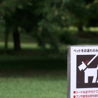 犬の飼い主が絶対に守らなくてはならない11個のルールとは　改めて確認して愛犬の幸せを守ろう