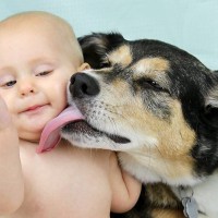 犬に顔を舐められるのは危ない？　その4つのリスクや知っておくべき注意点を解説