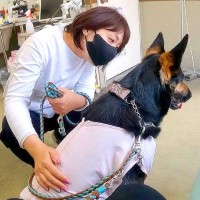 予防注射のため病院に行ったら、大型犬が…思った以上に『ビビり散らかす光景』が20万再生「人生終わったみたいで草」「落差はげしすぎるｗ」