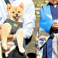 3歳の男の子が『犬と久しぶりの再会を果たした』結果…想像以上の『成長っぷり』が尊すぎると5万再生「なんて優しい家族」「嬉しそう」と絶賛