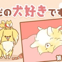 ただの犬好きです。【第285話】「はいどうぞ」