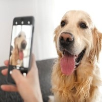 『犬好きあるある』8つ！写真フォルダは愛犬だらけ？あなたはいくつ当てはまりましたか？