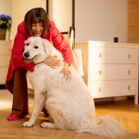 犬が飼い主に抱っこしてほしがるのはなぜ？可愛すぎるその心理を解説