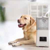 愛犬との暮らしで加湿器を使う時の注意点3つ　適切ではない使用法や快適に過ごすためにできることとは