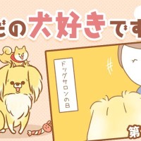 ただの犬好きです。【第287話】「正直すぎて」