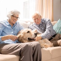 【獣医が解説】犬を『長生き』させるために気を付けたい事｜家庭で出来る対策や注意点