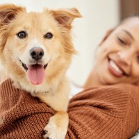 犬の飼い主にとって絶対に欠かせないこと４つ　飼う前に必ず知っておかなければならない知識とは