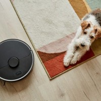 犬の抜け毛はお掃除ロボットで掃除していいの？　生活に取り入れたい活用法から注意点まで