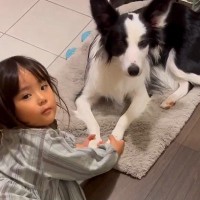 『3歳の娘と犬が見当たらない』と思っていたら…玄関でしていた『まさかの行動』が457万再生「なんて優しい娘さんなの」「素敵な世界」