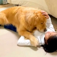 女の子と大型犬が『仲良しになりすぎた』結果…まさかの『重すぎる愛情表現の仕方』が53万再生「もはや恋人同士」「愛されすぎｗ」と爆笑