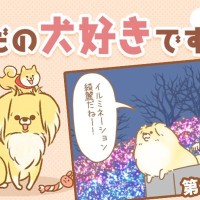 ただの犬好きです。【第288話】「見ているのか否か」