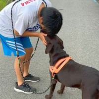 子犬のお迎え日、お兄ちゃんが号泣…家族としての『1年間の軌跡』が感動的だと2万再生「素敵な家族」「とっても可愛い」