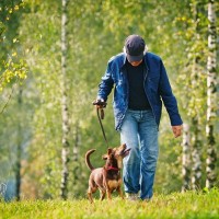 犬にもっと楽しんでもらえる『散歩の仕方』8つ　いつも通りはよくない？飼い主が工夫できることとは